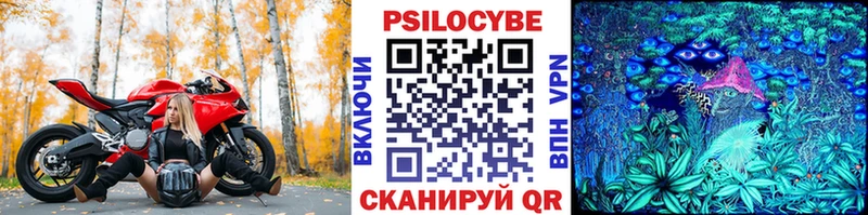 где можно купить наркотик  Ковдор  сайты даркнета клад  Галлюциногенные грибы Cubensis 